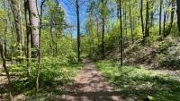 frýdlant Střelnice les (6) - Stodůlka